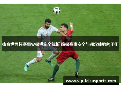 体育世界杯赛事安保措施全解析 确保赛事安全与观众体验的平衡