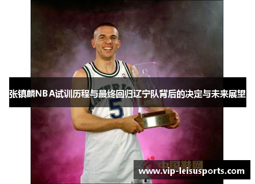 张镇麟NBA试训历程与最终回归辽宁队背后的决定与未来展望