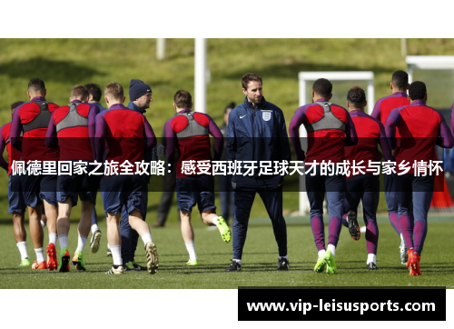 佩德里回家之旅全攻略：感受西班牙足球天才的成长与家乡情怀