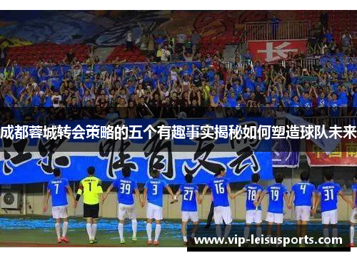 成都蓉城转会策略的五个有趣事实揭秘如何塑造球队未来