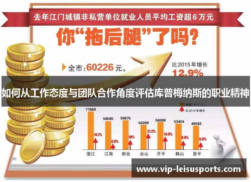 如何从工作态度与团队合作角度评估库普梅纳斯的职业精神