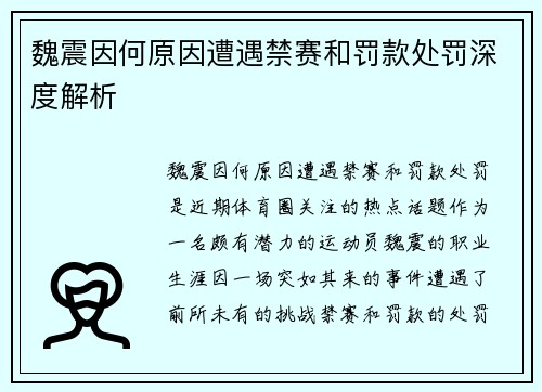 魏震因何原因遭遇禁赛和罚款处罚深度解析